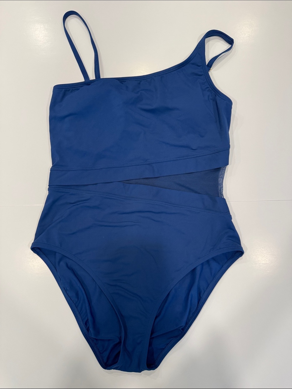 Bleu Rod Beattie Don't Mesh With Me One Shoulder Swimsuit 12 Blue